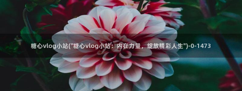 糖心vlogios