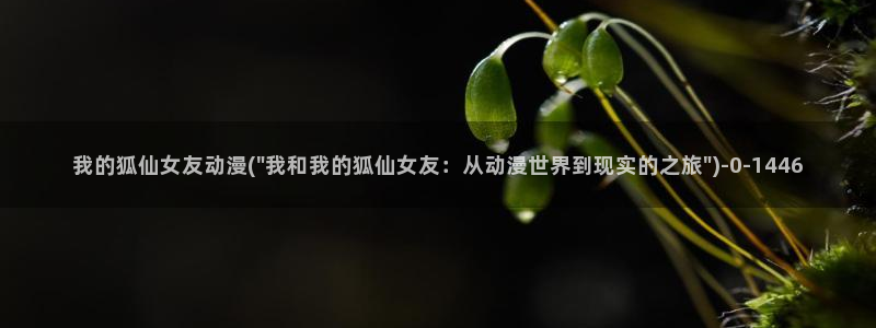 动漫杂谈